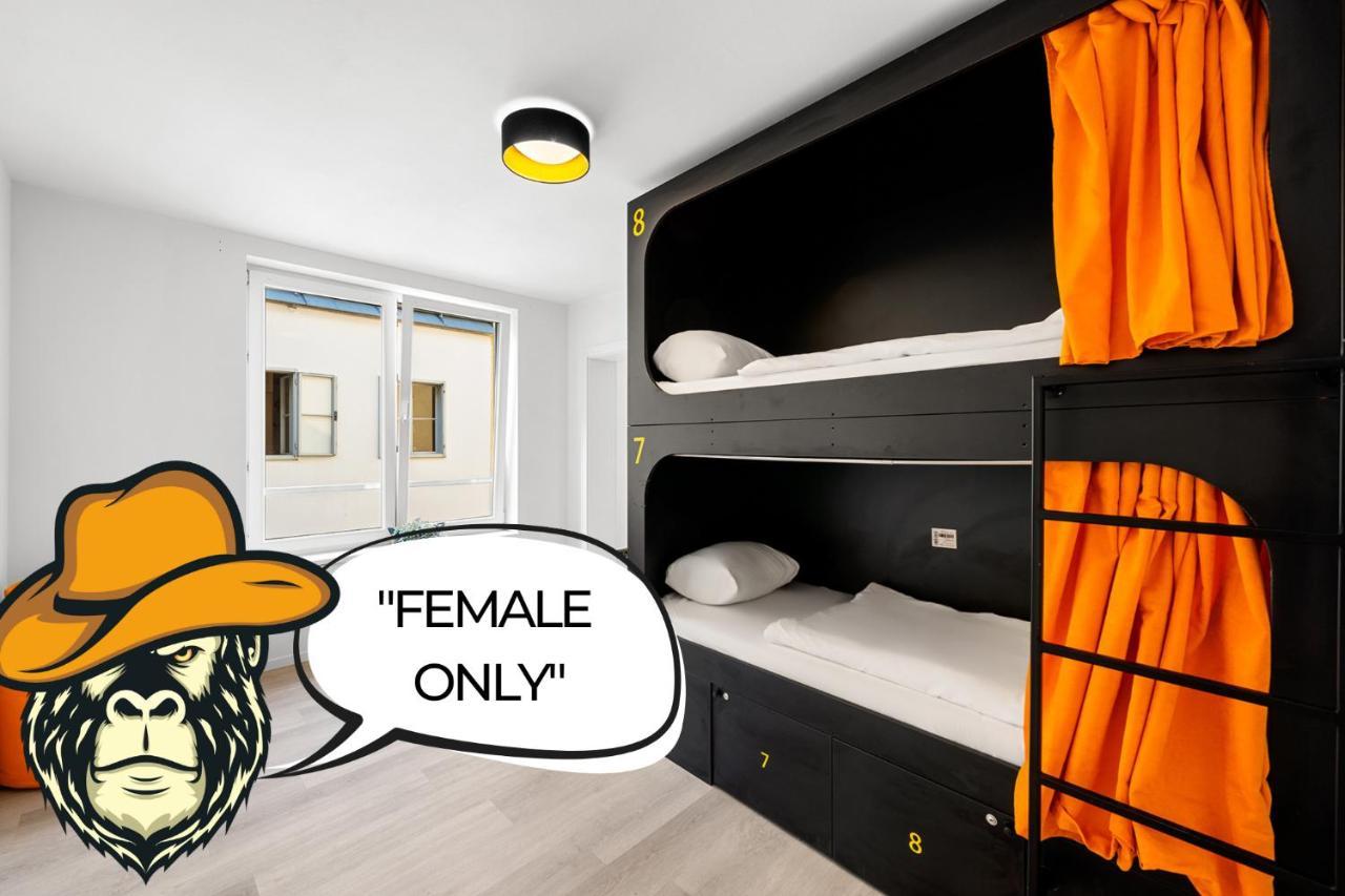 Lit Superposé dans Dortoir pour Femmes