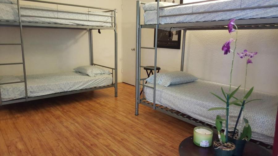 Lit dans Dortoir pour Femmes de 4 Lits