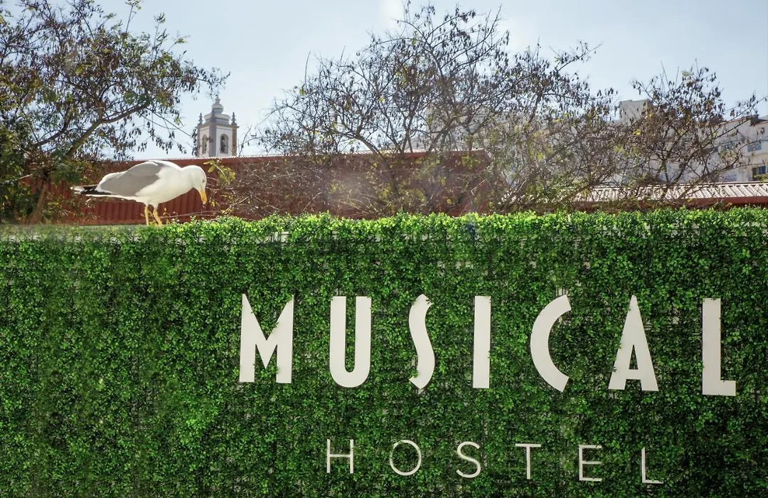 Musical Hostel-1