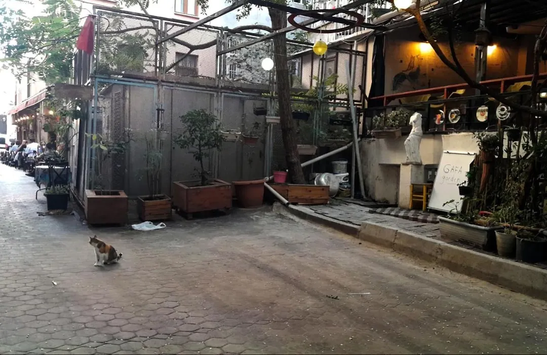 Gafa Garden Hostel & Apartments - Great Location-1
