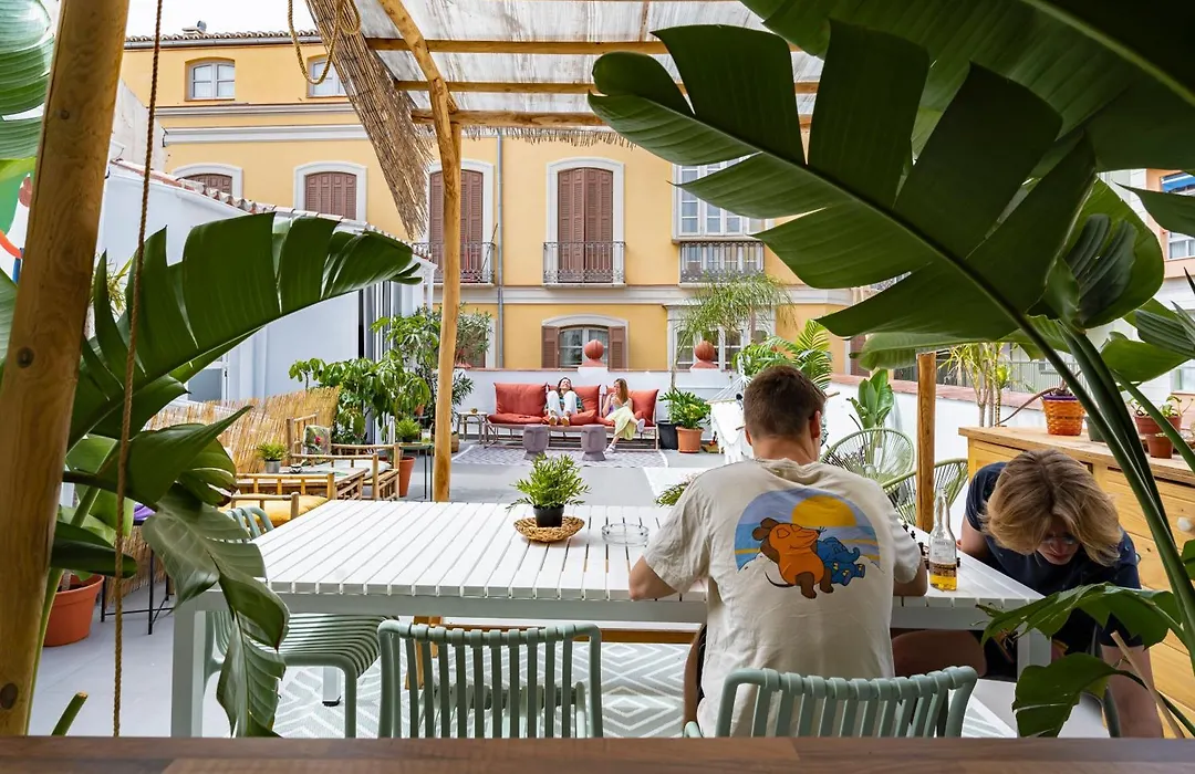 The Urban Jungle Hostel-1