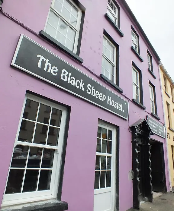 The Black Sheep Hostel-1