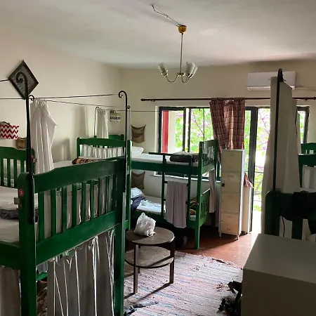 Trip'N'Hostel-3