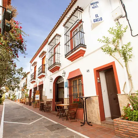 Hostal El Gallo-3