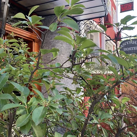 Antique Hostel-3