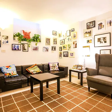 The Beehive Hostel-3