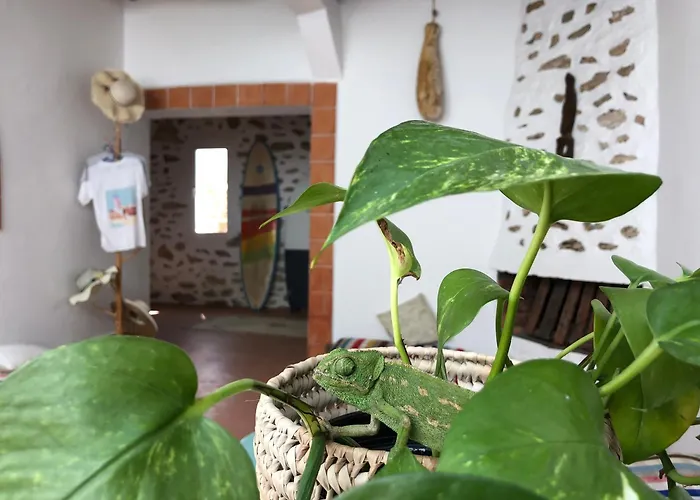 Auberge de jeunesse Surf Housemaroc à Essaouira