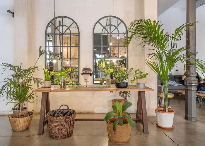 Auberge de JeunesseHat Madrid