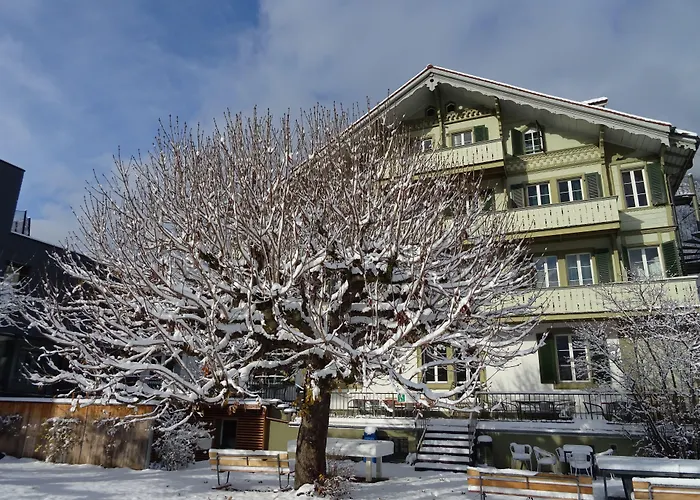 Backpackers Villa Sonnenhof - Hostel Interlaken