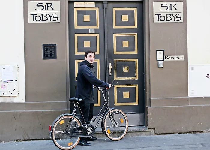 Auberge de JeunesseSir Toby'S