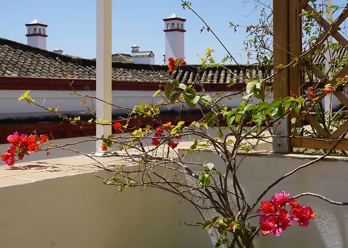 Auberge de JeunesseBlack Swan