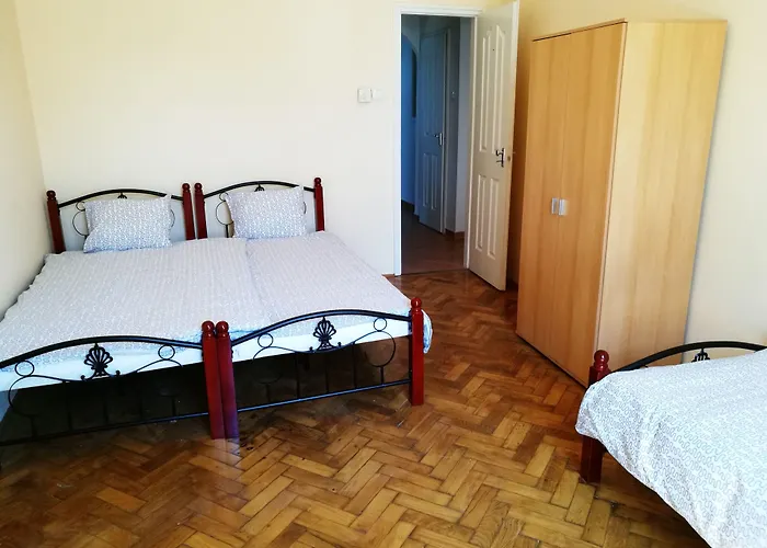 Auberge de JeunesseTreestyle