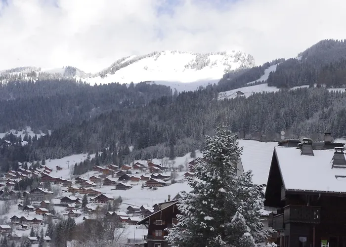 Central Hostel Châtel