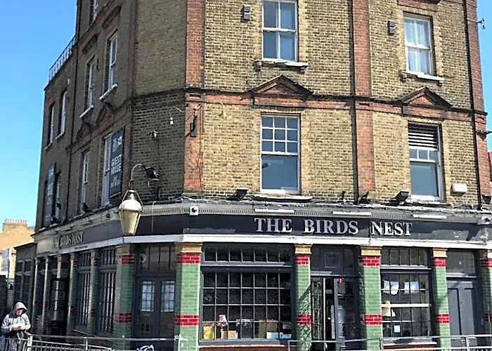 The Birds Nest Hostel Londres