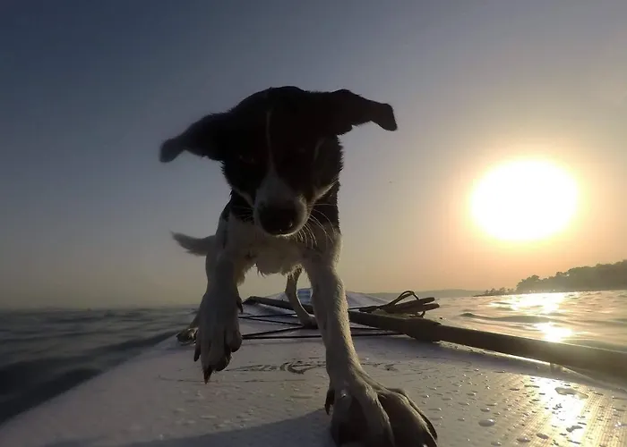 Backpackers Fairytale Hostel Split