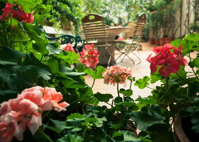 Vienna Hostel Ruthensteiner